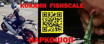 apvp Камышлов