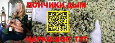 apvp Камышлов