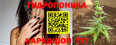 ПСИЛОЦИБИНОВЫЕ ГРИБЫ Кандалакша