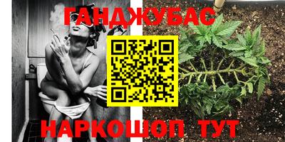 кокс Кимры