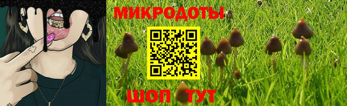 Псилоцибиновые грибы мицелий Южноуральск